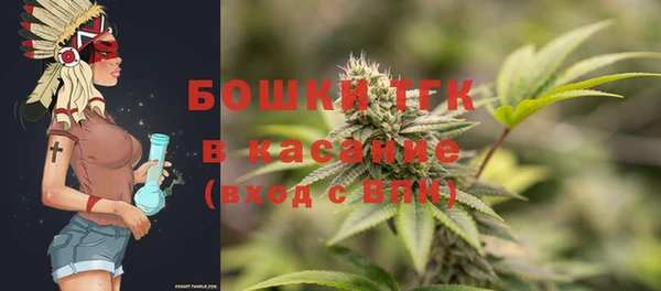 ПСИЛОЦИБИНОВЫЕ ГРИБЫ Арсеньев