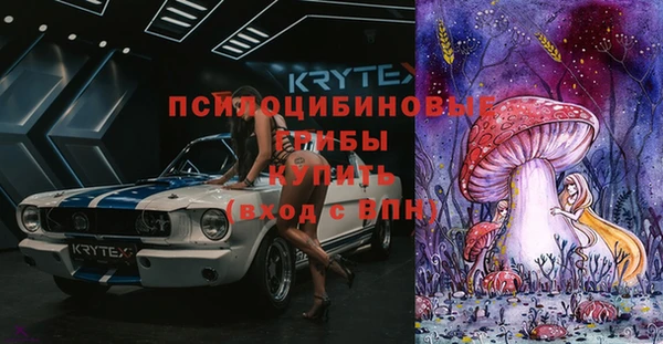 ПСИЛОЦИБИНОВЫЕ ГРИБЫ Арсеньев