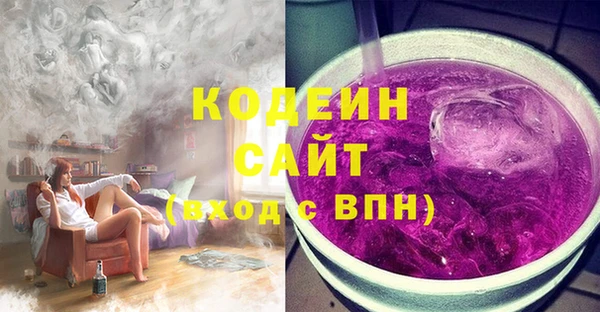 ПСИЛОЦИБИНОВЫЕ ГРИБЫ Арсеньев