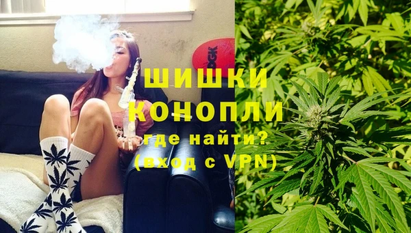 ПСИЛОЦИБИНОВЫЕ ГРИБЫ Арсеньев