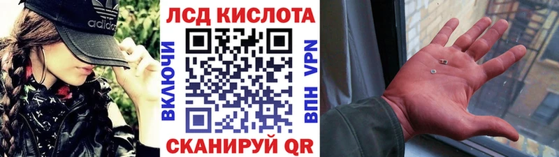купить наркотики сайты  Бакал  ОМГ ОМГ вход  Марки NBOMe 1,8мг 