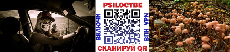Псилоцибиновые грибы Cubensis  дарк нет наркотические препараты  Бакал 